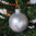 Weihnachtskugeln aus Glas silber Wolfkopf, 2er Set